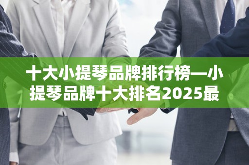 十大小提琴品牌排行榜—小提琴品牌十大排名2025最新排名前十名榜单出炉