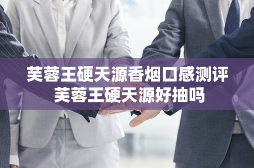 芙蓉王硬天源香烟口感测评 芙蓉王硬天源好抽吗