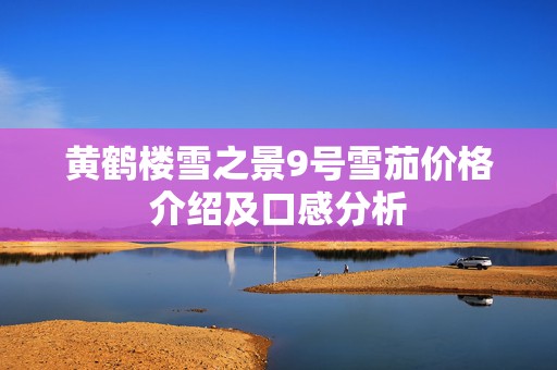 黄鹤楼雪之景9号雪茄价格介绍及口感分析