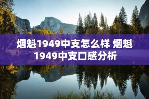 烟魁1949中支怎么样 烟魁1949中支口感分析