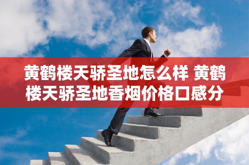 黄鹤楼天骄圣地怎么样 黄鹤楼天骄圣地香烟价格口感分析