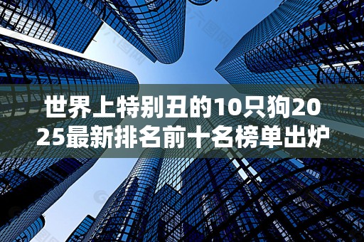 世界上特别丑的10只狗2025最新排名前十名榜单出炉