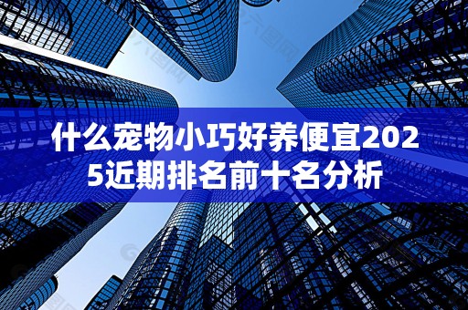 什么宠物小巧好养便宜2025近期排名前十名分析