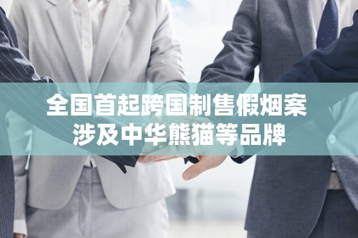 全国首起跨国制售假烟案 涉及中华熊猫等品牌