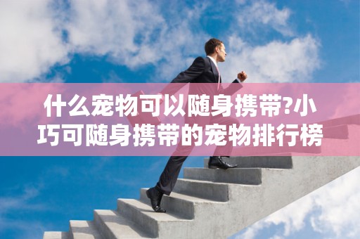 什么宠物可以随身携带?小巧可随身携带的宠物排行榜2025近期排名前十名分析