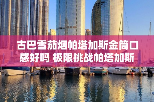 古巴雪茄烟帕塔加斯金筒口感好吗 极限挑战帕塔加斯金筒