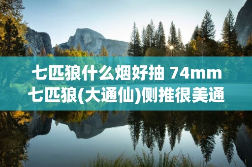 七匹狼什么烟好抽 74mm七匹狼(大通仙)侧推很美通仙极味
