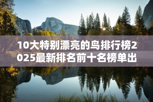 10大特别漂亮的鸟排行榜2025最新排名前十名榜单出炉