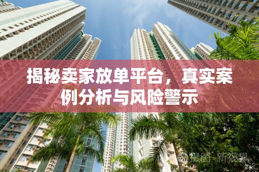 揭秘卖家放单平台，真实案例分析与风险警示