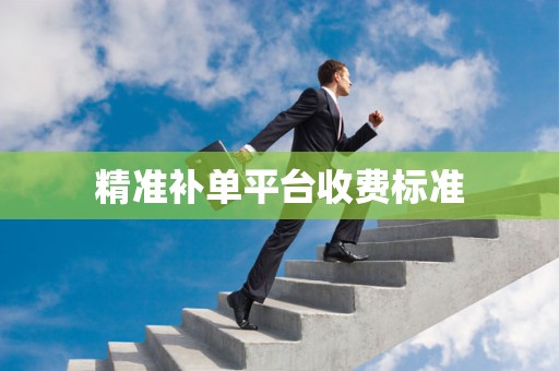 精准补单平台收费标准
