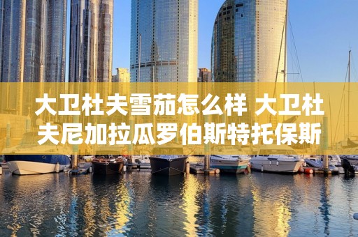 大卫杜夫雪茄怎么样 大卫杜夫尼加拉瓜罗伯斯特托保斯雪茄好抽吗