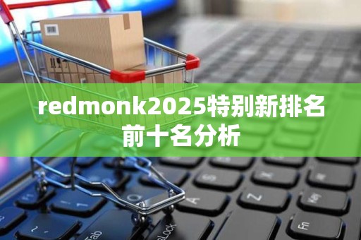 redmonk2025特别新排名前十名分析