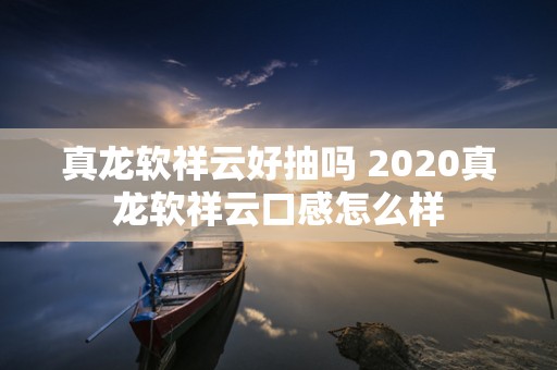 真龙软祥云好抽吗 2020真龙软祥云口感怎么样