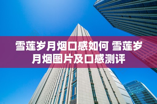 雪莲岁月烟口感如何 雪莲岁月烟图片及口感测评