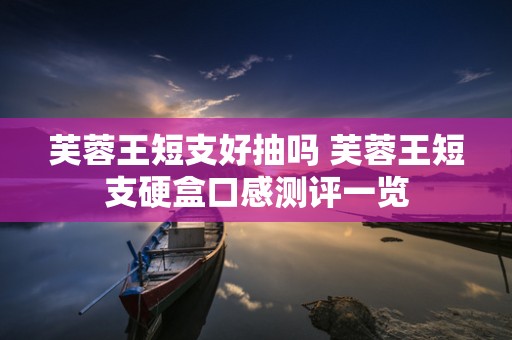 芙蓉王短支好抽吗 芙蓉王短支硬盒口感测评一览