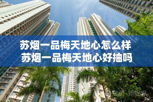 苏烟一品梅天地心怎么样 苏烟一品梅天地心好抽吗