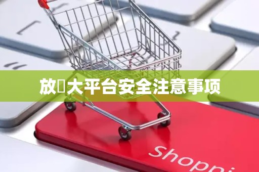 放單大平台安全注意事项