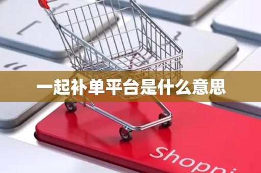 一起补单平台是什么意思