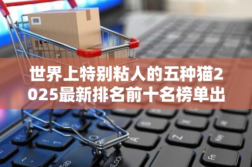 世界上特别粘人的五种猫2025最新排名前十名榜单出炉
