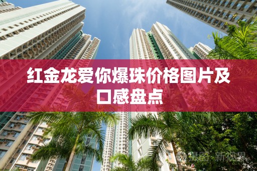 红金龙爱你爆珠价格图片及口感盘点