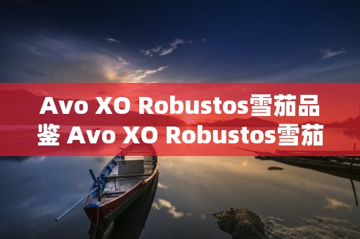 Avo XO Robustos雪茄品鉴 Avo XO Robustos雪茄参数及口感介绍