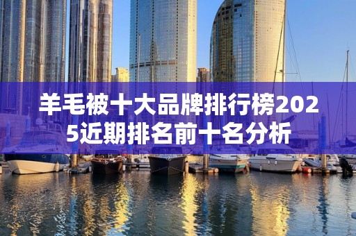 羊毛被十大品牌排行榜2025近期排名前十名分析