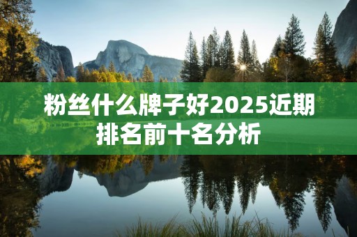 粉丝什么牌子好2025近期排名前十名分析