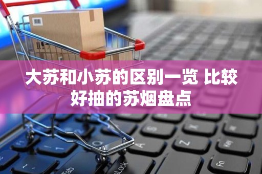 大苏和小苏的区别一览 比较好抽的苏烟盘点