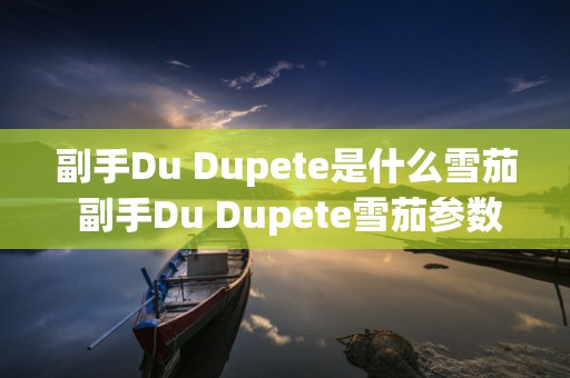 副手Du Dupete是什么雪茄 副手Du Dupete雪茄参数及口感介绍