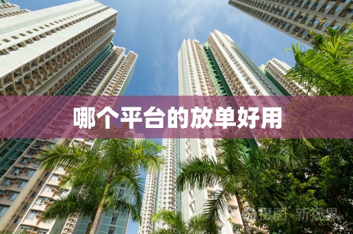 哪个平台的放单好用