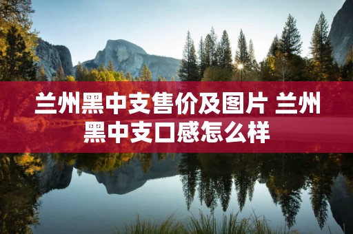 兰州黑中支售价及图片 兰州黑中支口感怎么样