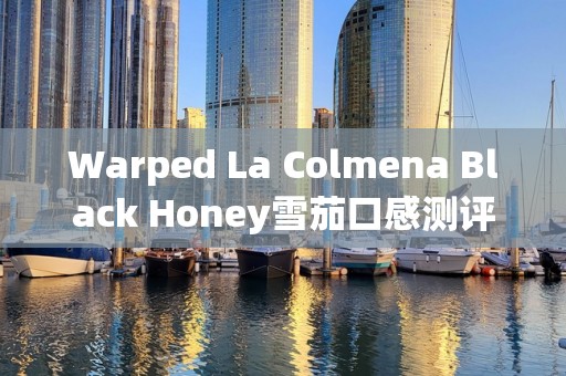Warped La Colmena Black Honey雪茄口感测评