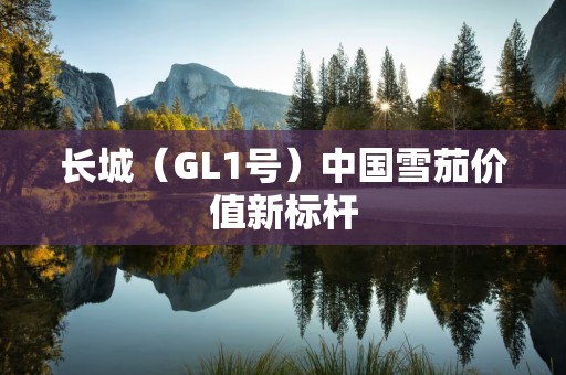 长城（GL1号）中国雪茄价值新标杆