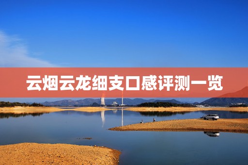 云烟云龙细支口感评测一览