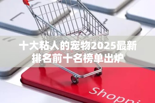 十大粘人的宠物2025最新排名前十名榜单出炉