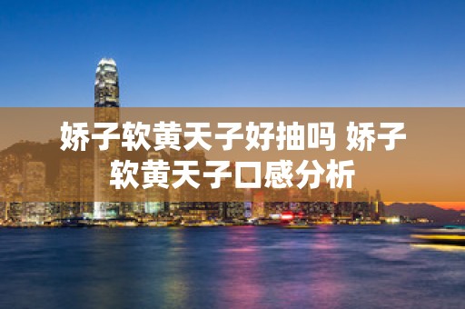 娇子软黄天子好抽吗 娇子软黄天子口感分析