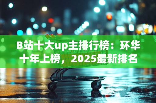 B站十大up主排行榜：环华十年上榜，2025最新排名前十名榜单出炉