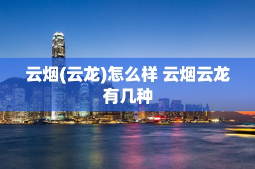 云烟(云龙)怎么样 云烟云龙有几种