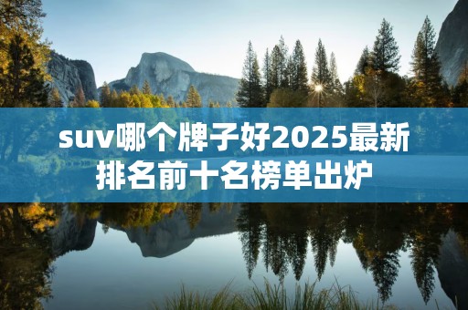 suv哪个牌子好2025最新排名前十名榜单出炉
