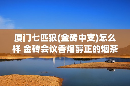 厦门七匹狼(金砖中支)怎么样 金砖会议香烟醇正的烟茶滋味