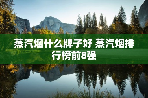 蒸汽烟什么牌子好 蒸汽烟排行榜前8强