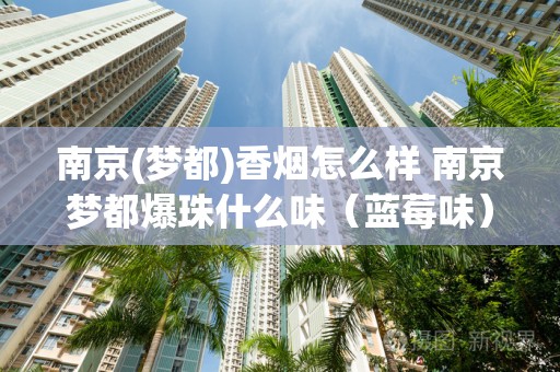 南京(梦都)香烟怎么样 南京梦都爆珠什么味（蓝莓味）