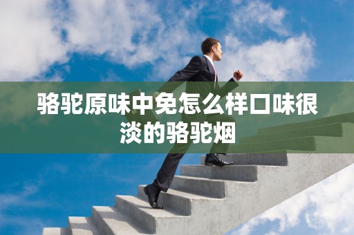 骆驼原味中免怎么样口味很淡的骆驼烟