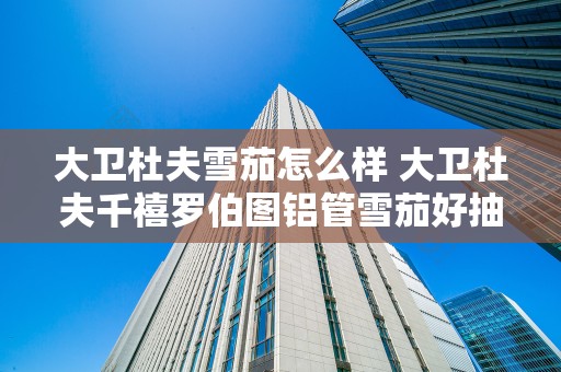 大卫杜夫雪茄怎么样 大卫杜夫千禧罗伯图铝管雪茄好抽吗