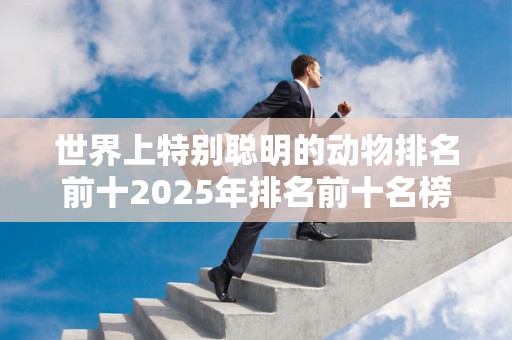 世界上特别聪明的动物排名前十2025年排名前十名榜单出炉