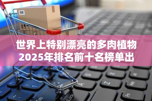 世界上特别漂亮的多肉植物2025年排名前十名榜单出炉