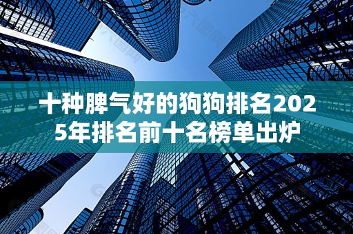 十种脾气好的狗狗排名2025年排名前十名榜单出炉