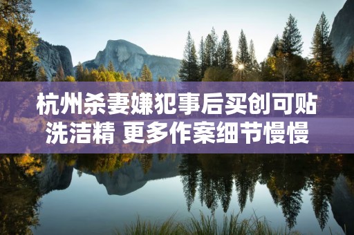 杭州杀妻嫌犯事后买创可贴洗洁精 更多作案细节慢慢揭露