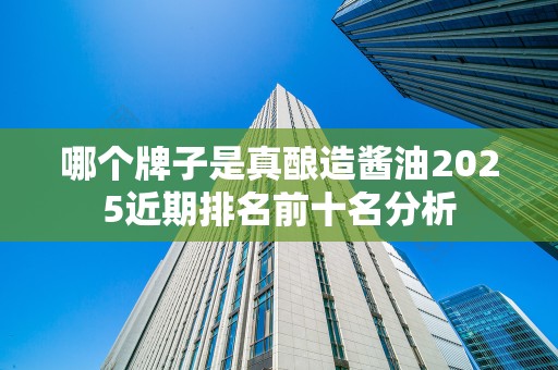 哪个牌子是真酿造酱油2025近期排名前十名分析
