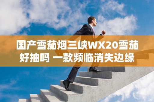 国产雪茄烟三峡WX20雪茄好抽吗 一款频临消失边缘平价甜味雪茄